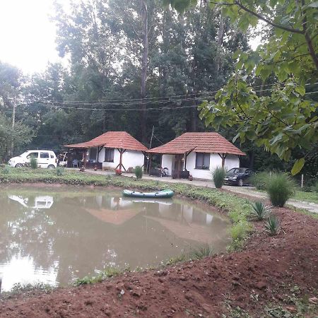Sljivik Guest House นิส ภายนอก รูปภาพ
