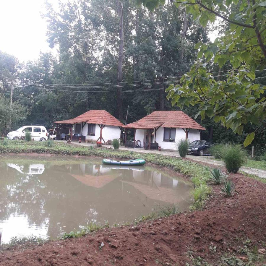 Sljivik Guest House นิส ภายนอก รูปภาพ