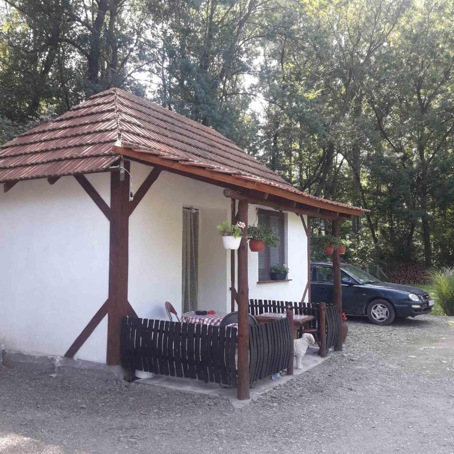 Sljivik Guest House นิส ภายนอก รูปภาพ