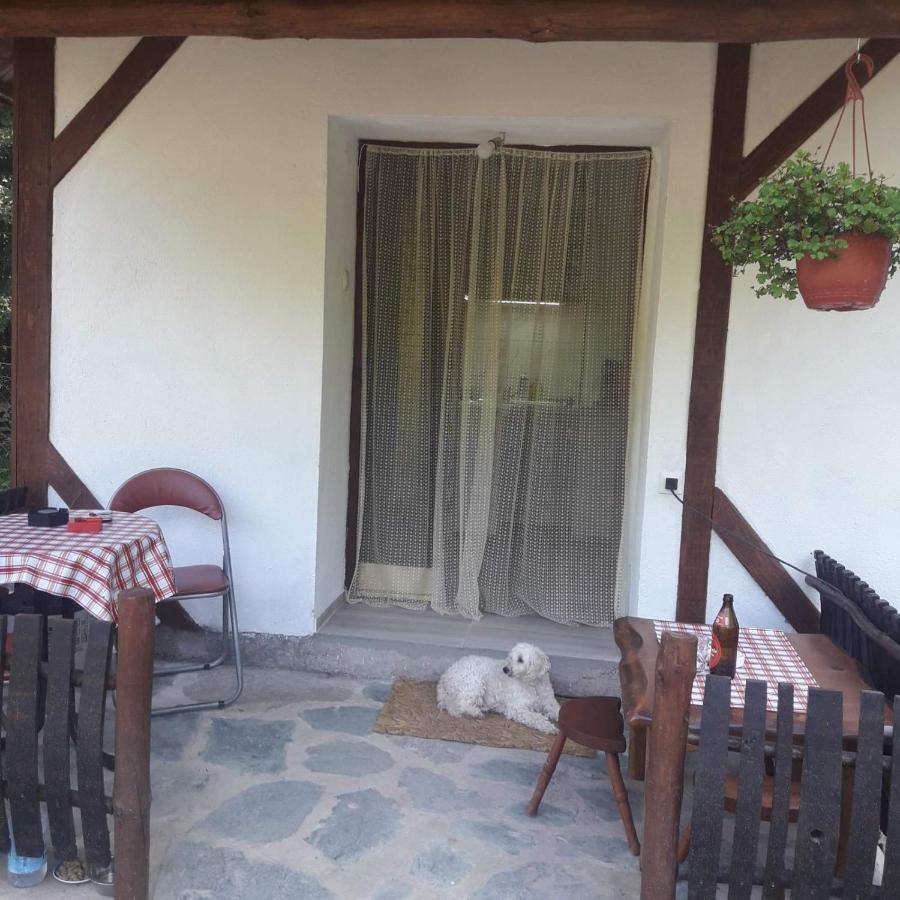 Sljivik Guest House นิส ภายนอก รูปภาพ